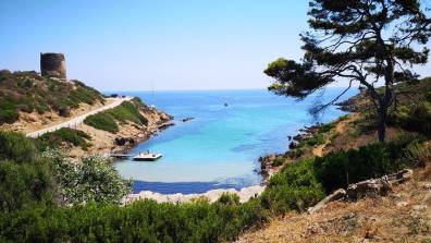 Asinara National Park Tours