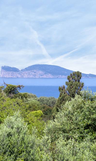 Sardinia Re - Villa La Paloma